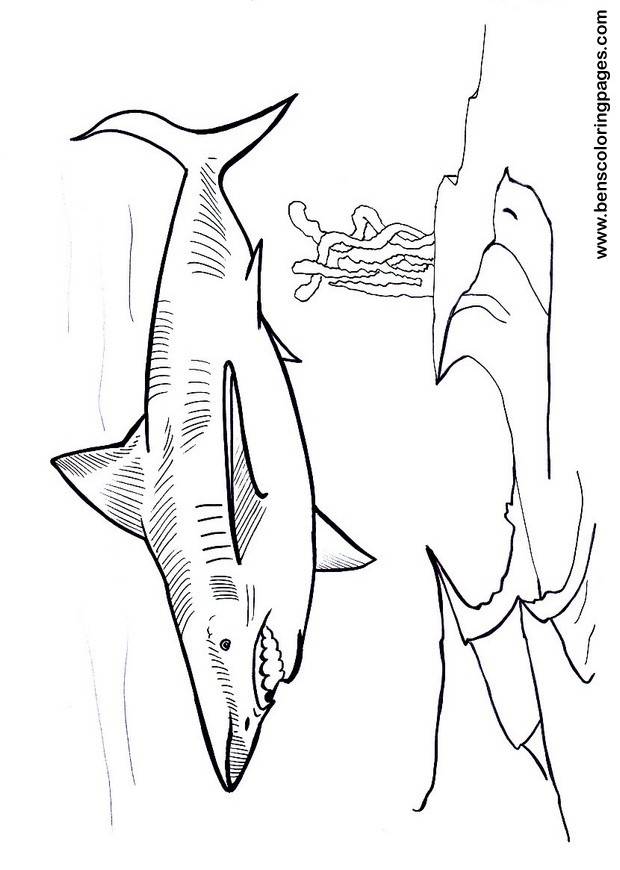 40 Coloring Pages Megalodon 45