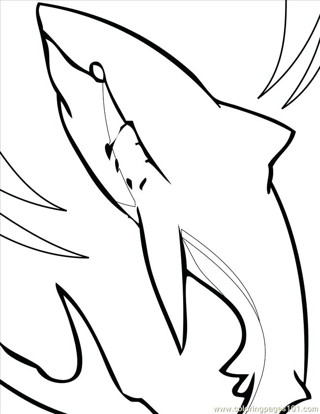 40 Coloring Pages Megalodon 6