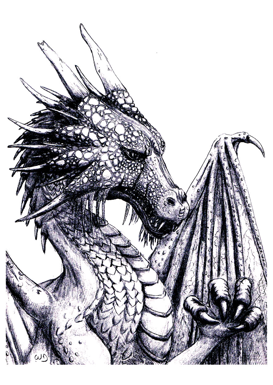 45 Dragon Printable Coloring Page 16