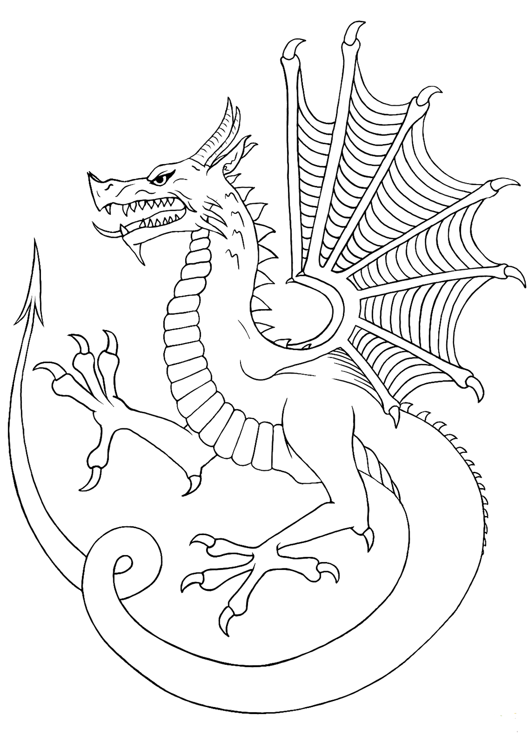 45 Dragon Printable Coloring Page 55