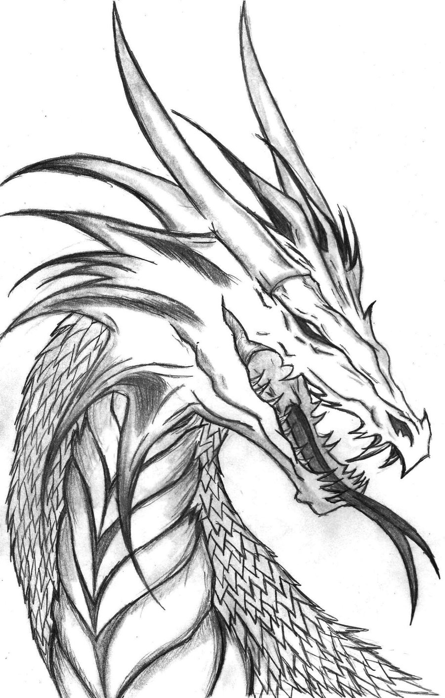 45 Dragon Printable Coloring Page 61