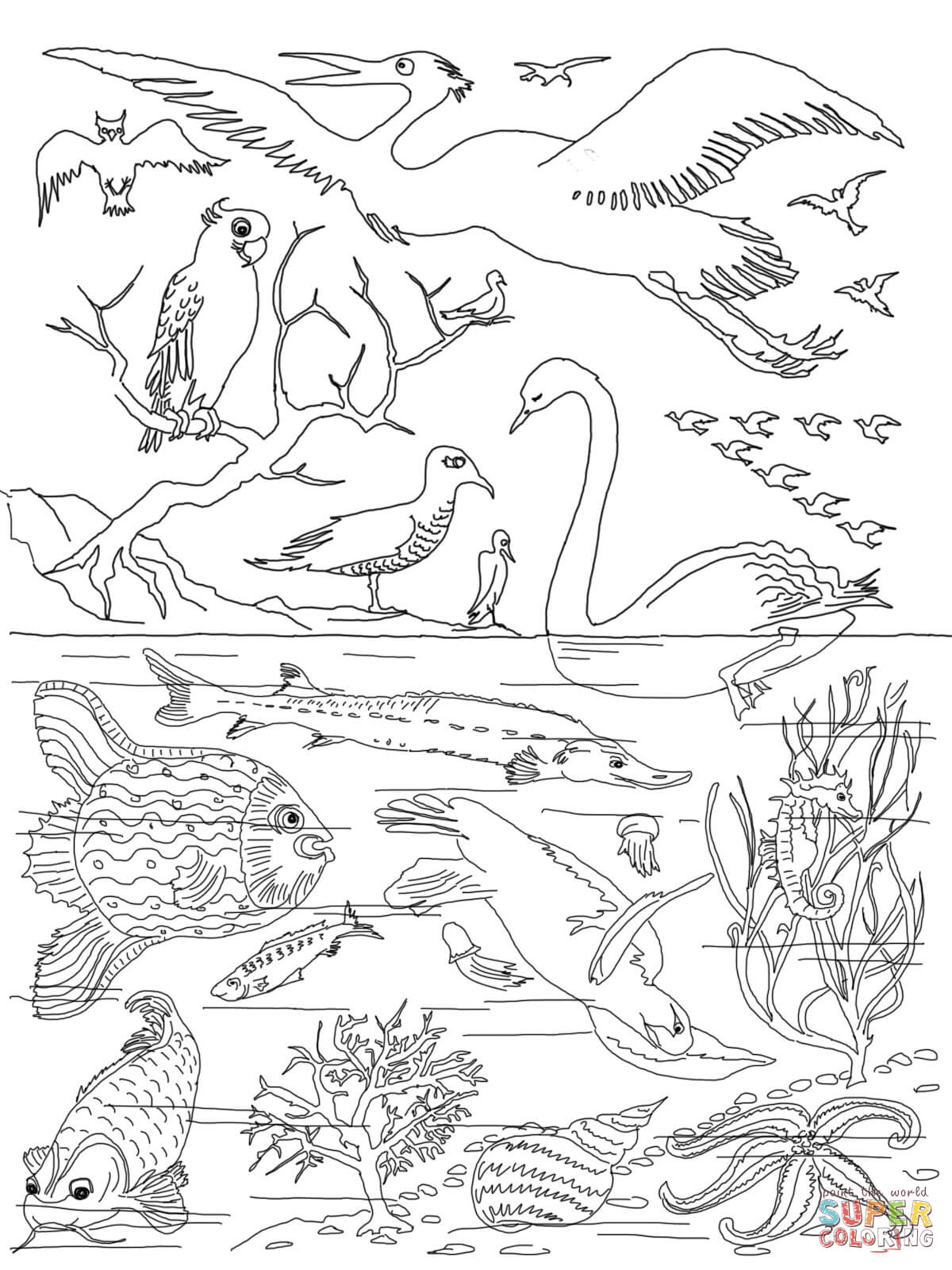 45 Genesis Creation Coloring Pages 2