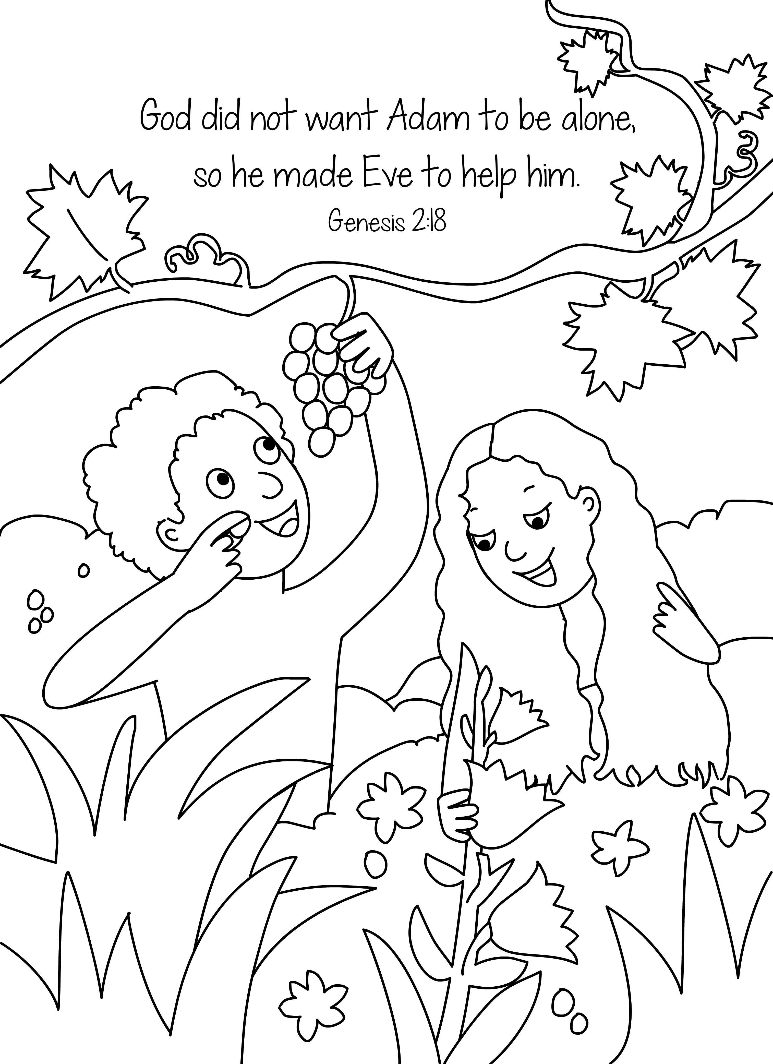 45 Genesis Creation Coloring Pages 24