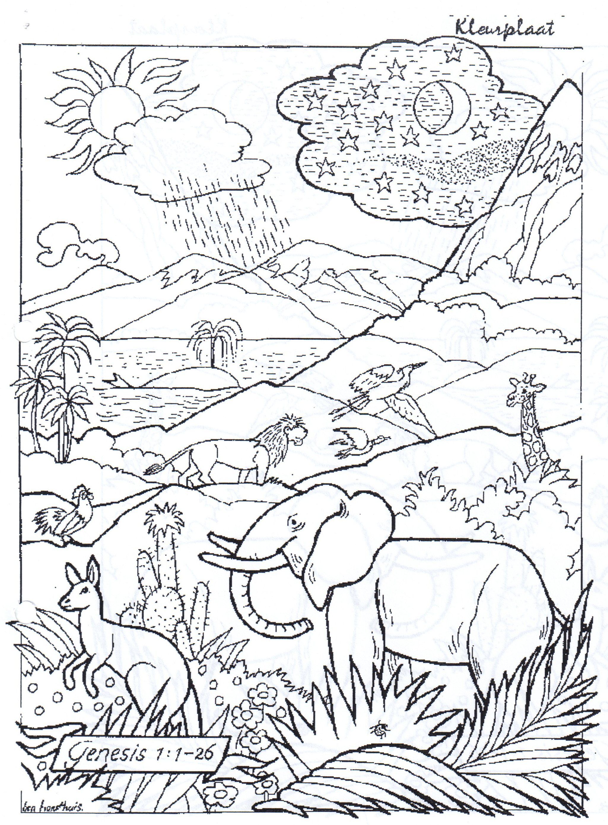 45 Genesis Creation Coloring Pages 26