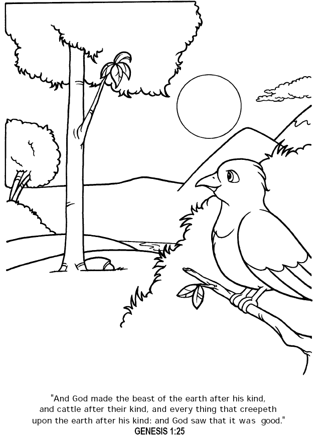 45 Genesis Creation Coloring Pages 34