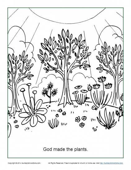 45 Genesis Creation Coloring Pages 49