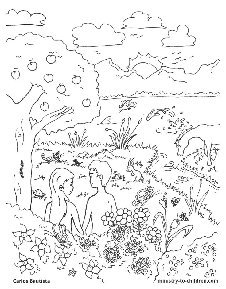 45 Genesis Creation Coloring Pages 50