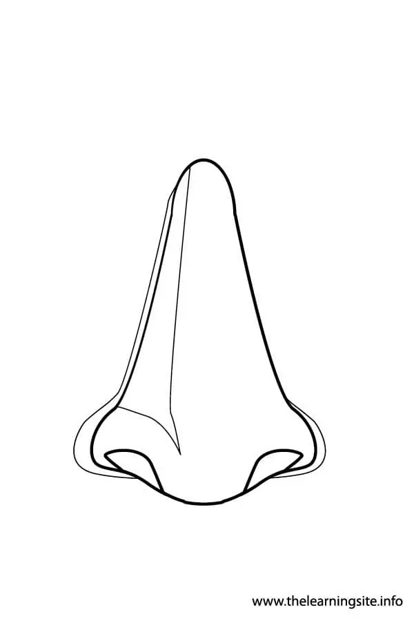 45 Nose Coloring Page 22