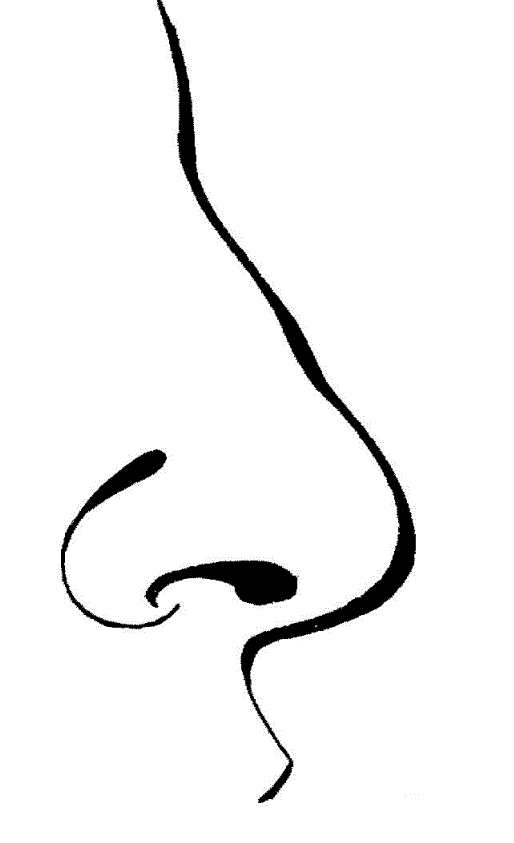 45 Nose Coloring Page 3