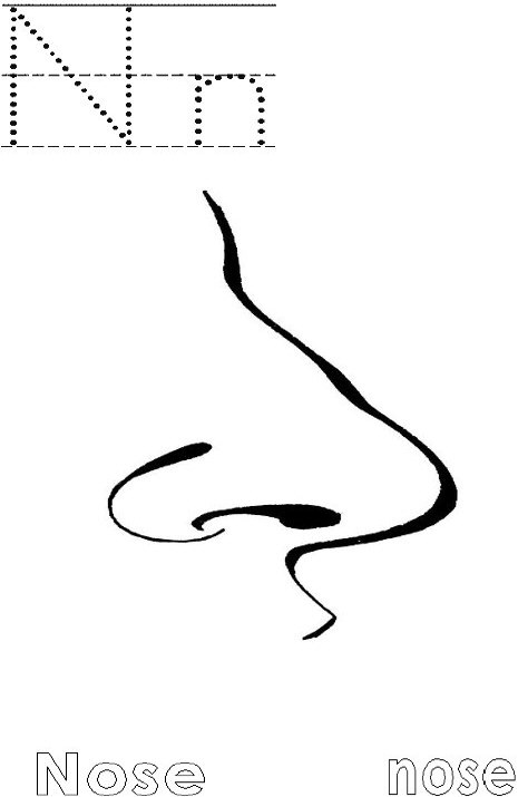 45 Nose Coloring Page 38