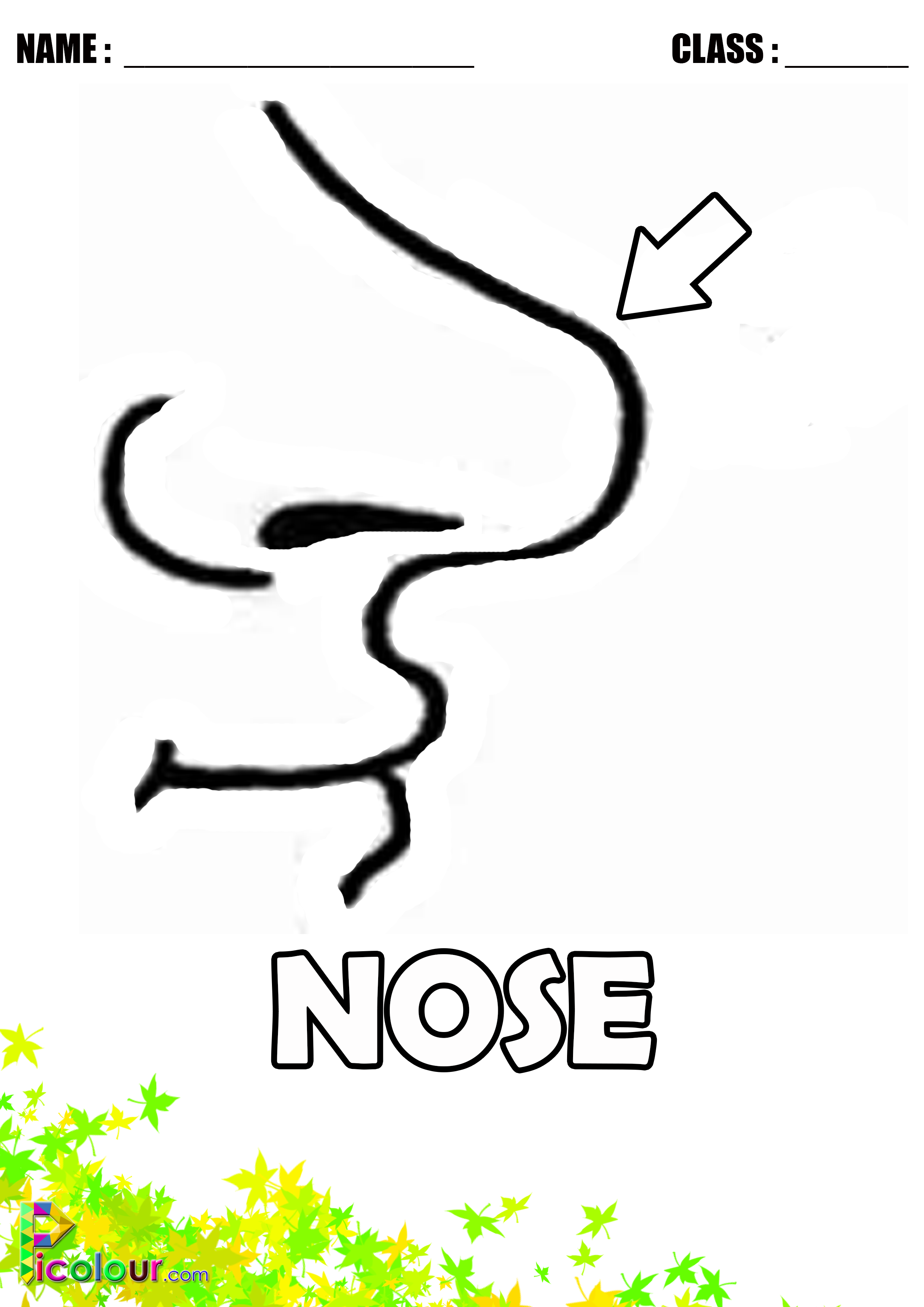 45 Nose Coloring Page 40