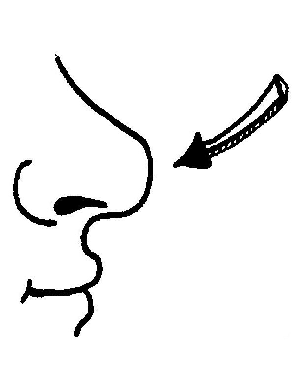 45 Nose Coloring Page 50