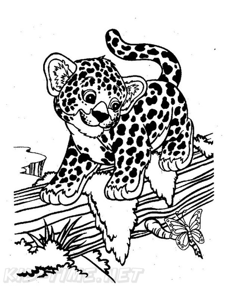 50 Cheetah Coloring Book 10