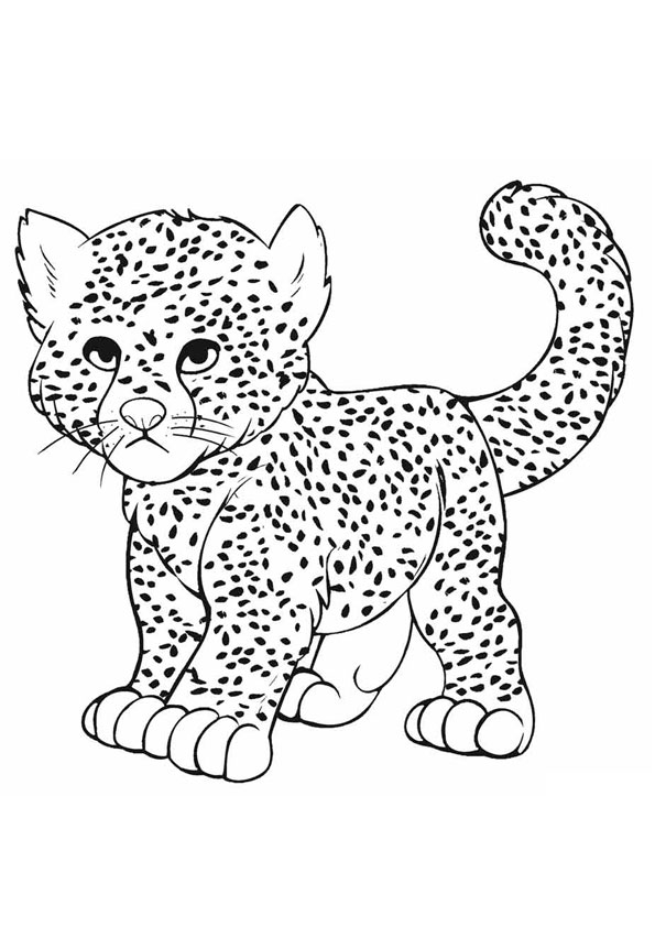 50 Cheetah Coloring Book 13