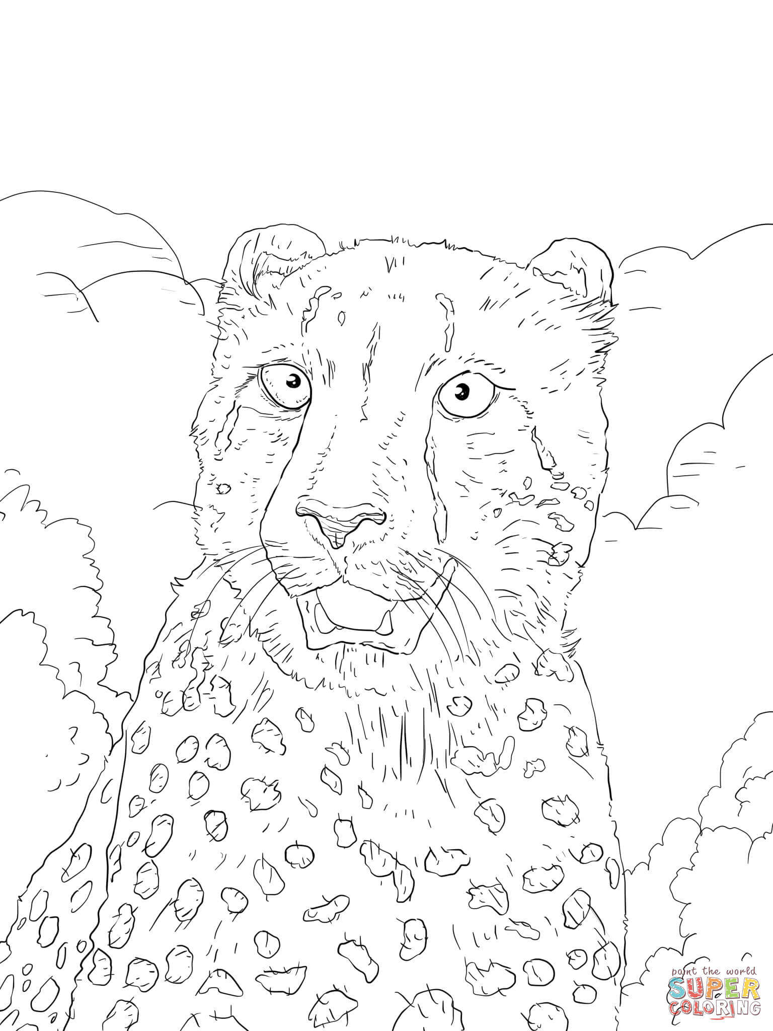 50 Cheetah Coloring Book 21