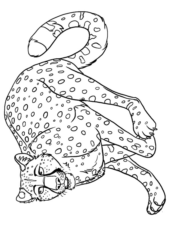 50 Cheetah Coloring Book 25