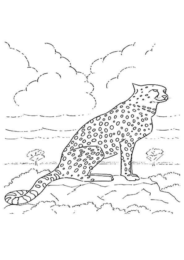 50 Cheetah Coloring Book 27