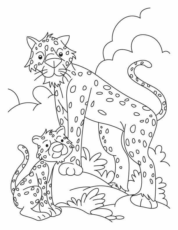 50 Cheetah Coloring Book 28