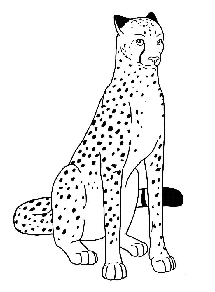 50 Cheetah Coloring Book 30