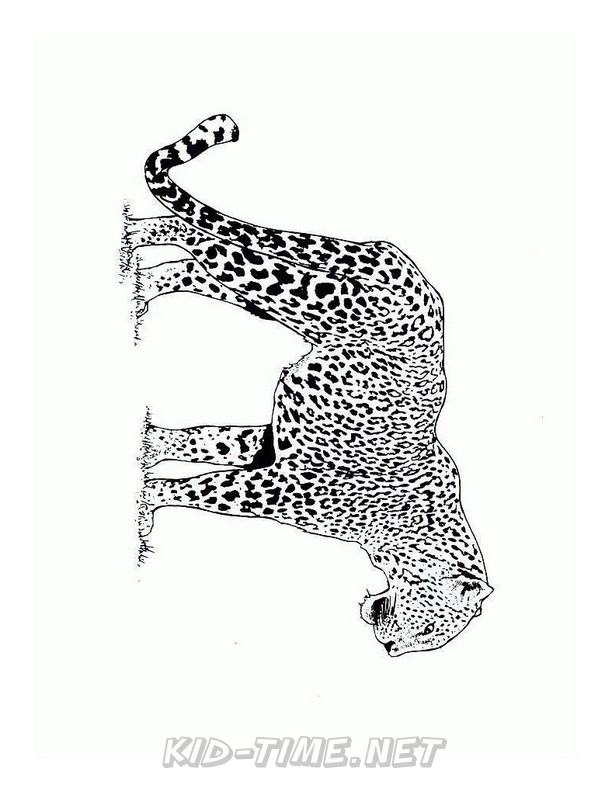 50 Cheetah Coloring Book 33