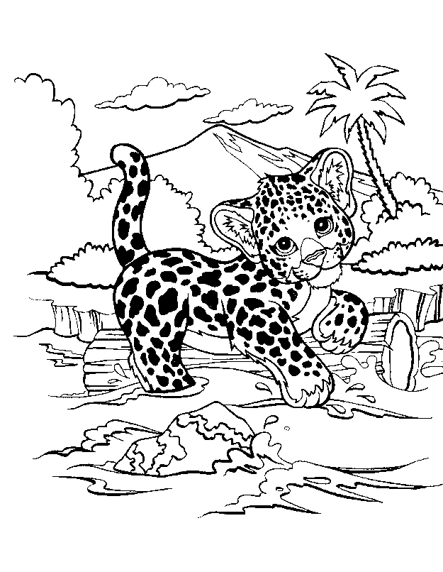 50 Cheetah Coloring Book 38