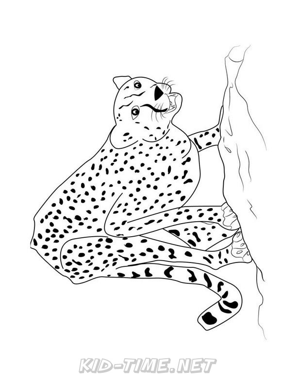 50 Cheetah Coloring Book 41