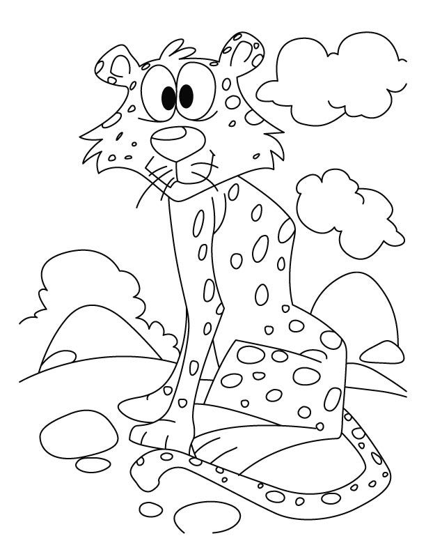 50 Cheetah Coloring Book 42