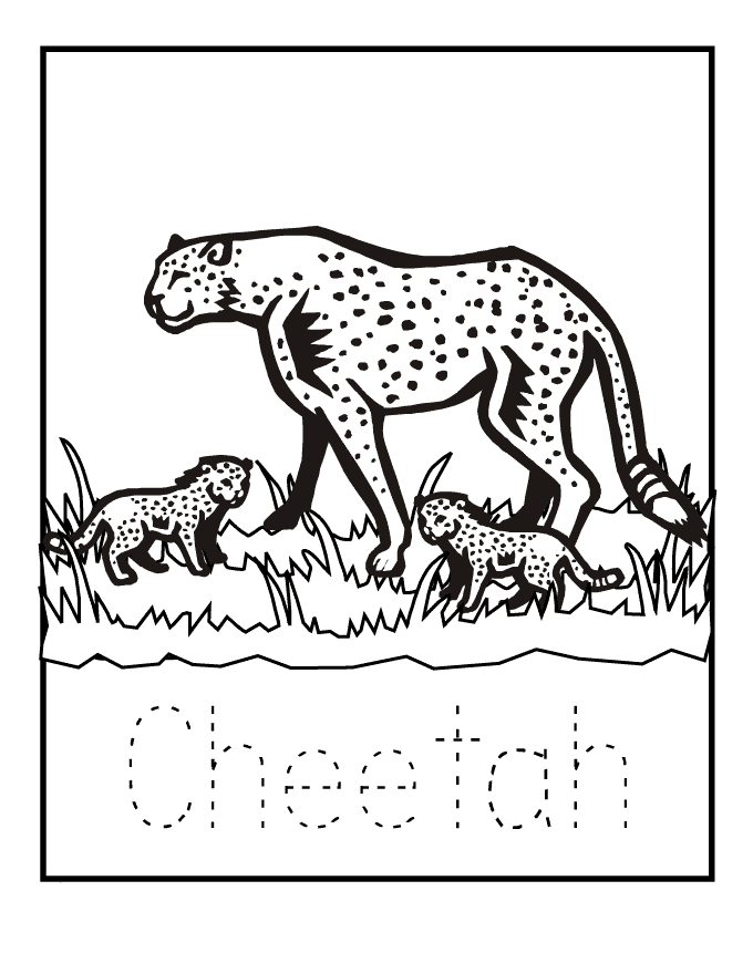 50 Cheetah Coloring Book 47