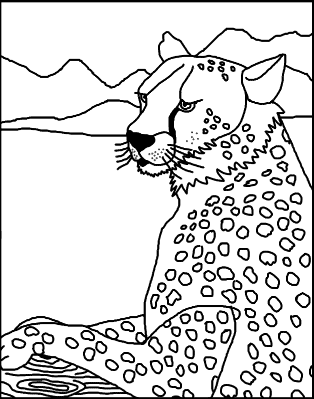 50 Cheetah Coloring Book 53