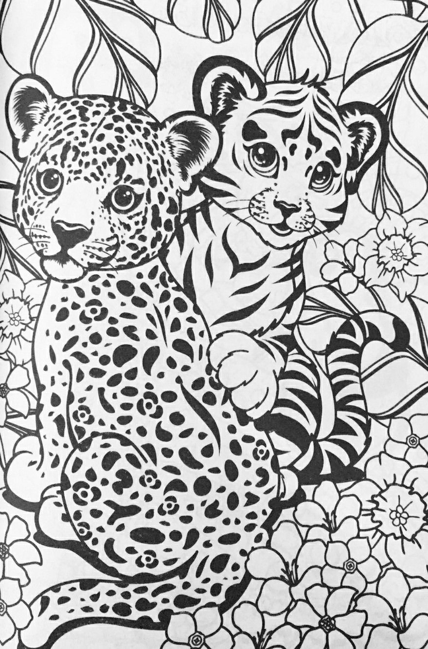 50 Cheetah Coloring Book 9