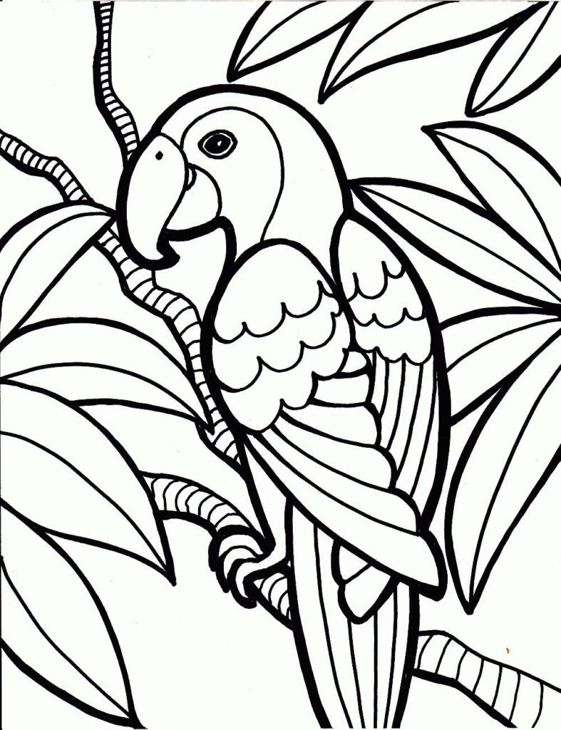 55 Cool And Easy Coloring Pages 68