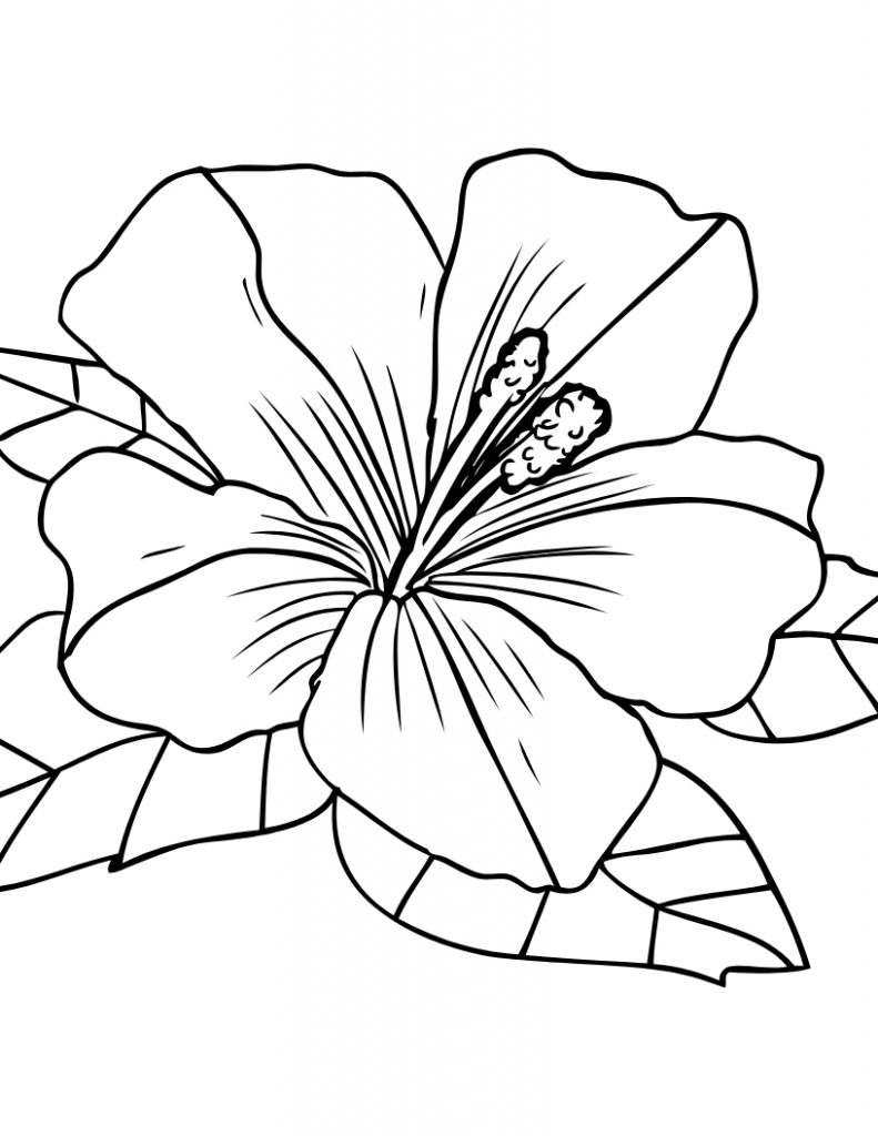 55 Cool And Easy Coloring Pages 70