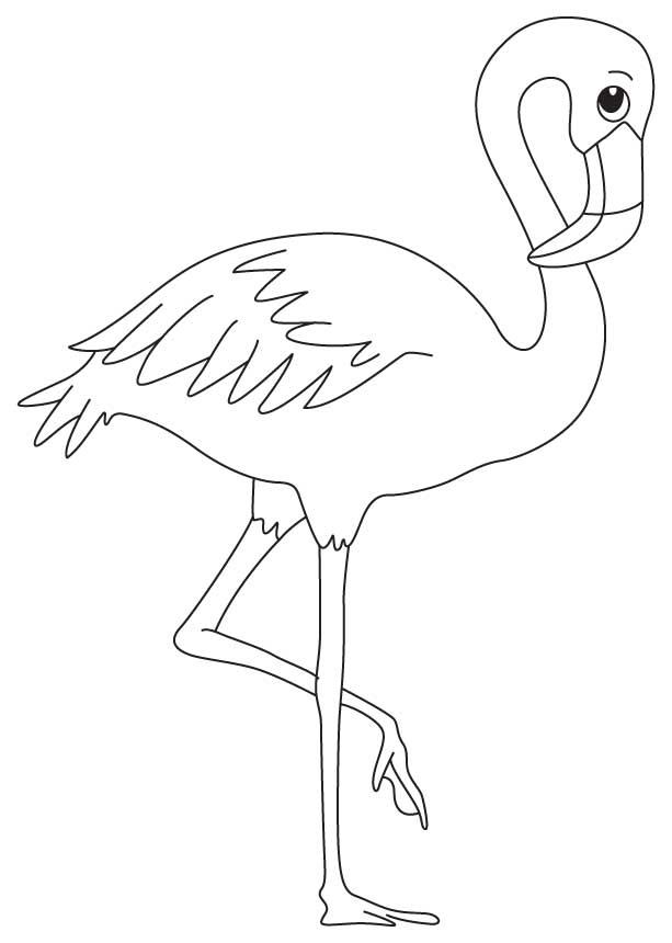 55 Flamingo Printable Coloring Pages 15