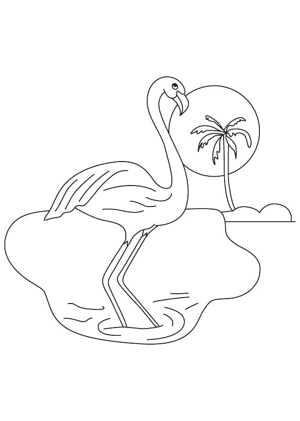 55 Flamingo Printable Coloring Pages 16