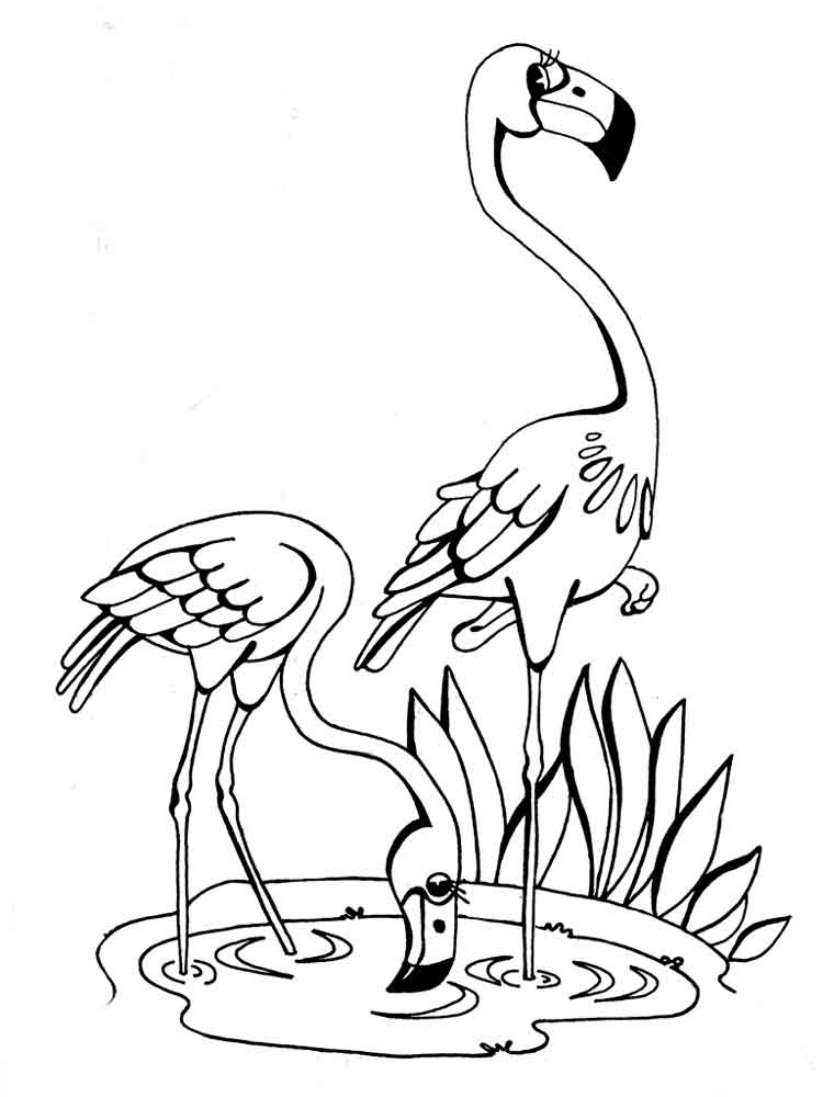 55 Flamingo Printable Coloring Pages 18