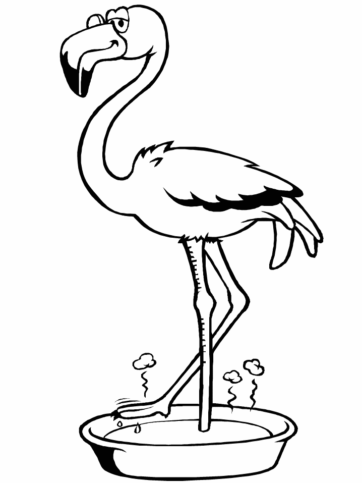 55 Flamingo Printable Coloring Pages 21