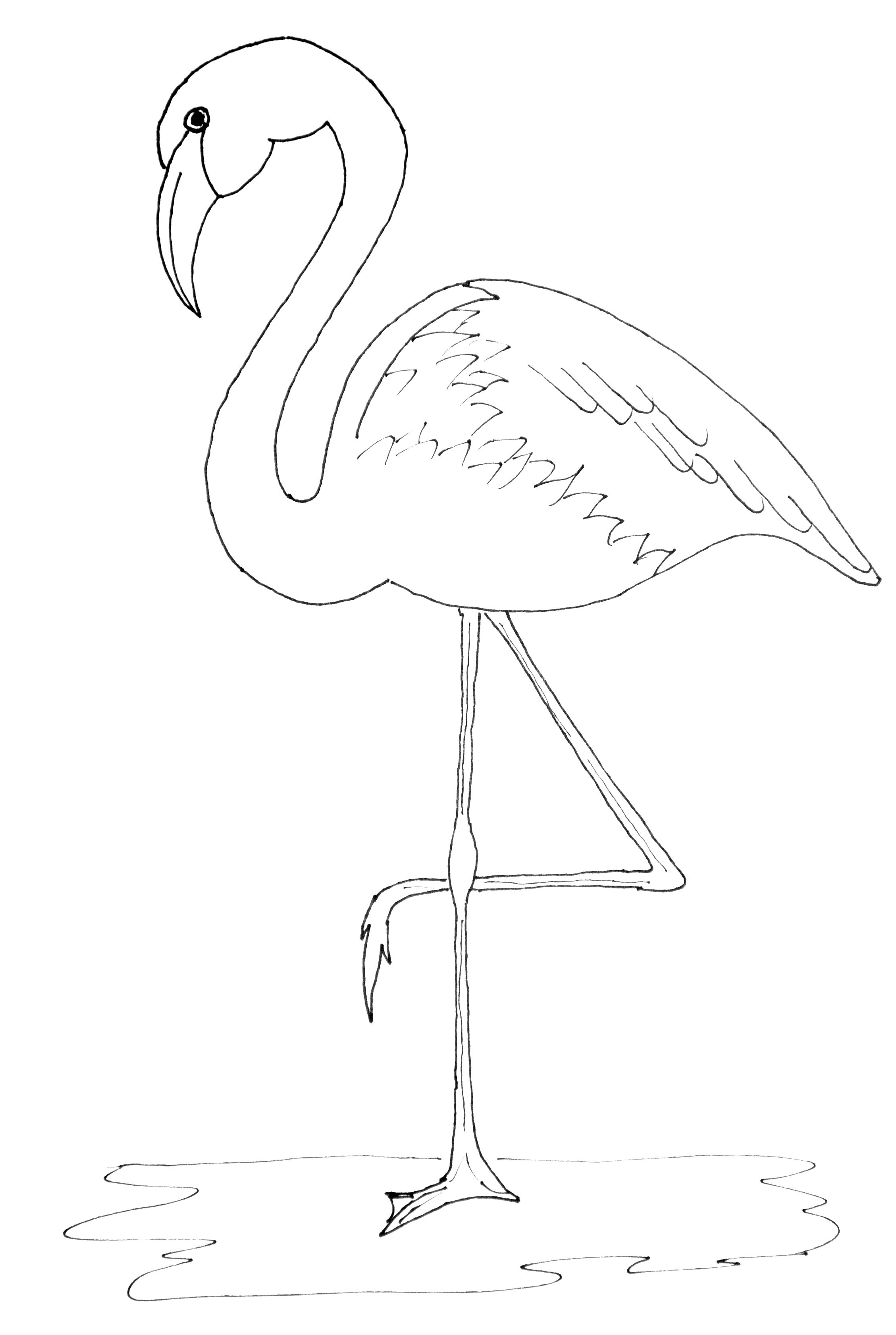 55 Flamingo Printable Coloring Pages 22