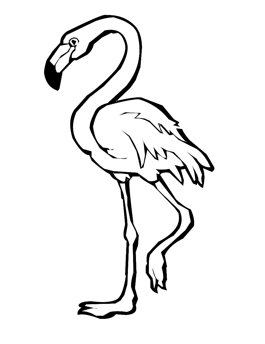 55 Flamingo Printable Coloring Pages 23