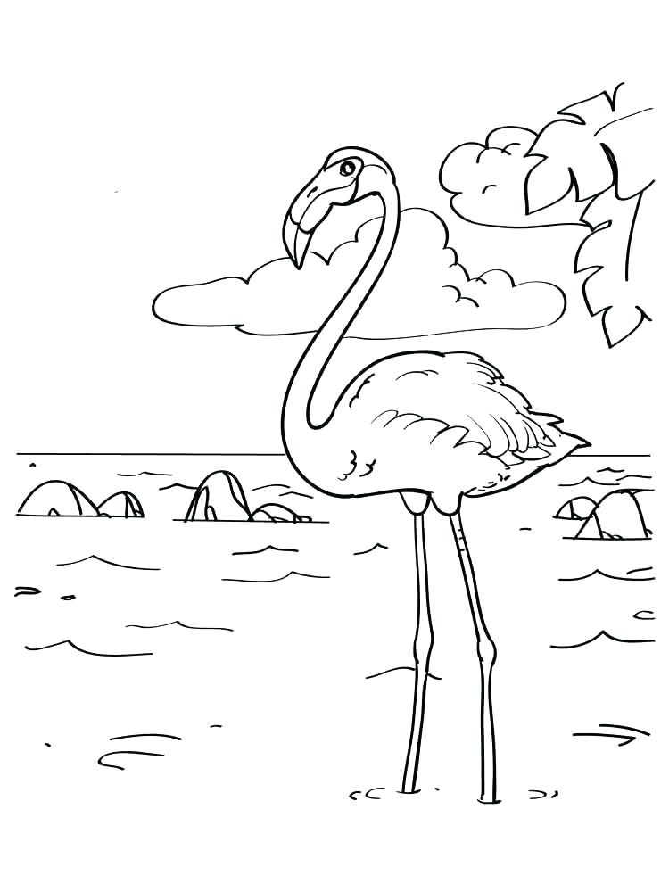 55 Flamingo Printable Coloring Pages 25