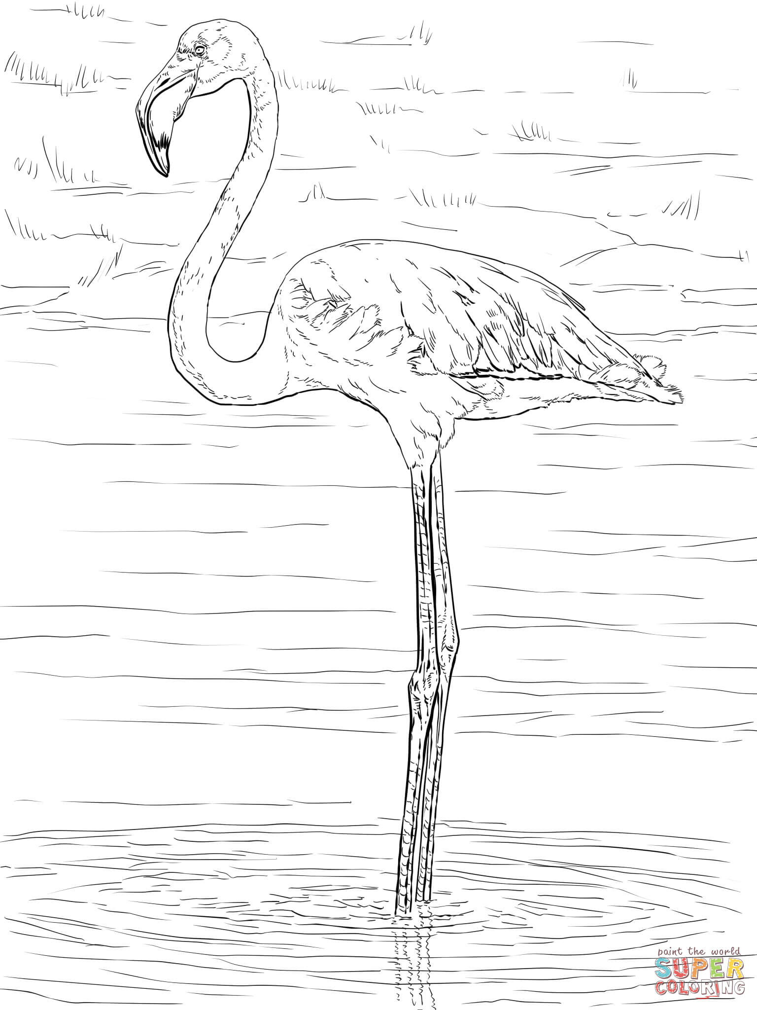 55 Flamingo Printable Coloring Pages 28