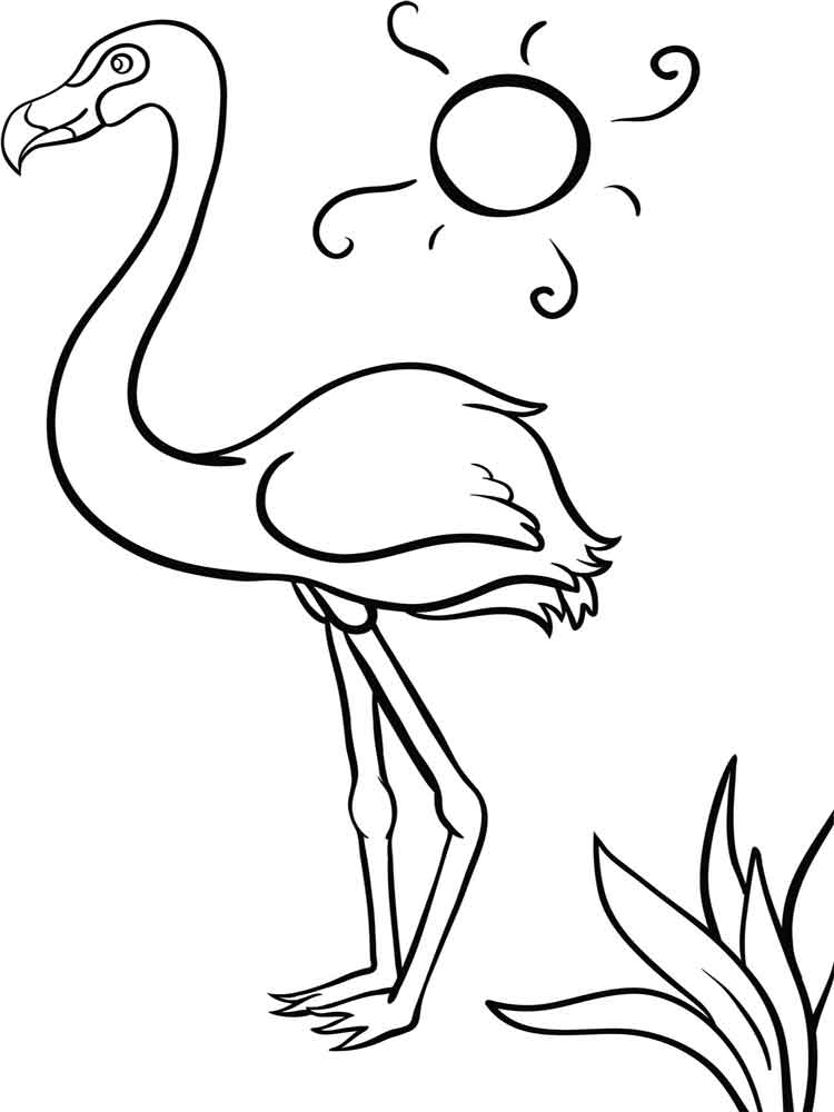 55 Flamingo Printable Coloring Pages 29