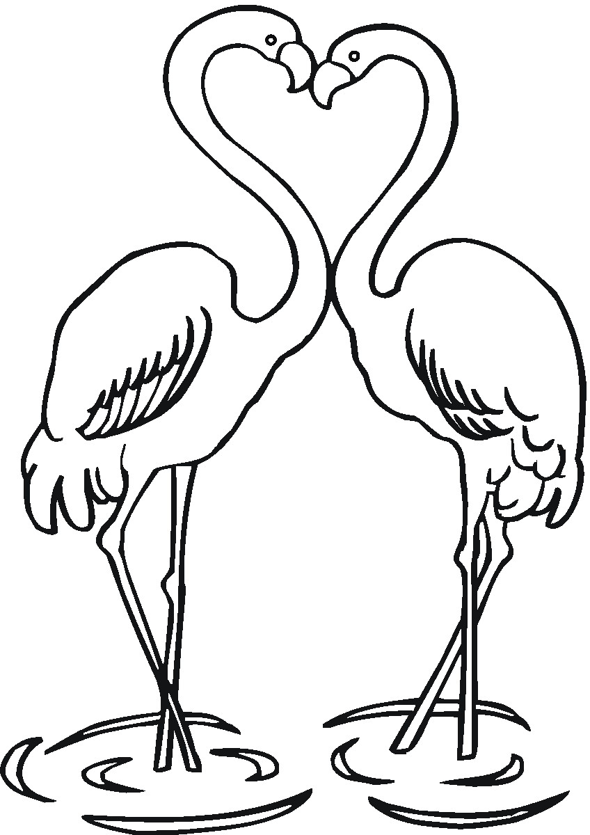 55 Flamingo Printable Coloring Pages 30