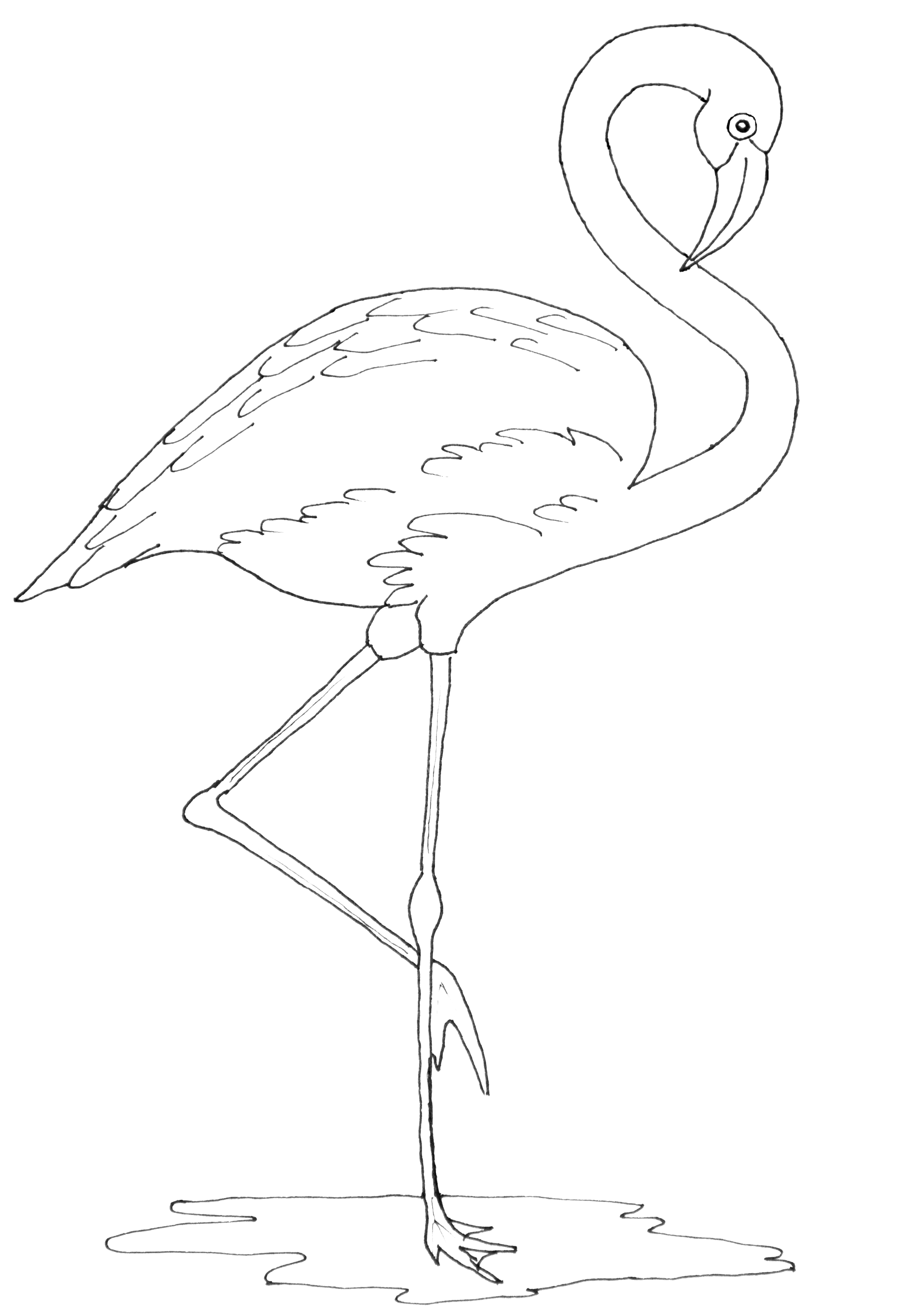 55 Flamingo Printable Coloring Pages 37