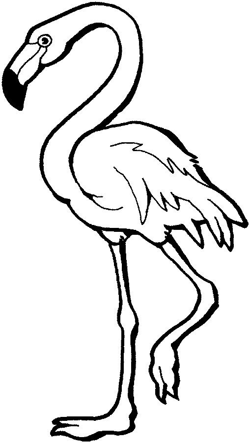 55 Flamingo Printable Coloring Pages 38