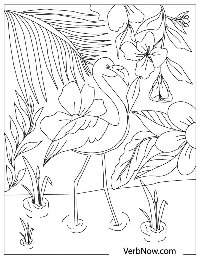 55 Flamingo Printable Coloring Pages 41