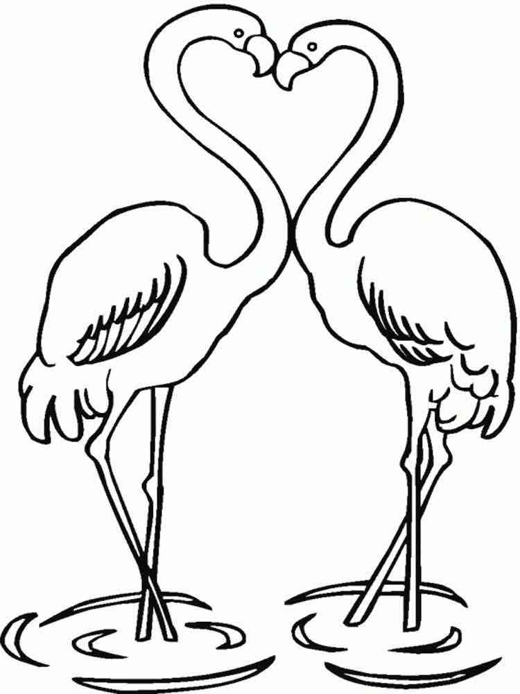 55 Flamingo Printable Coloring Pages 43