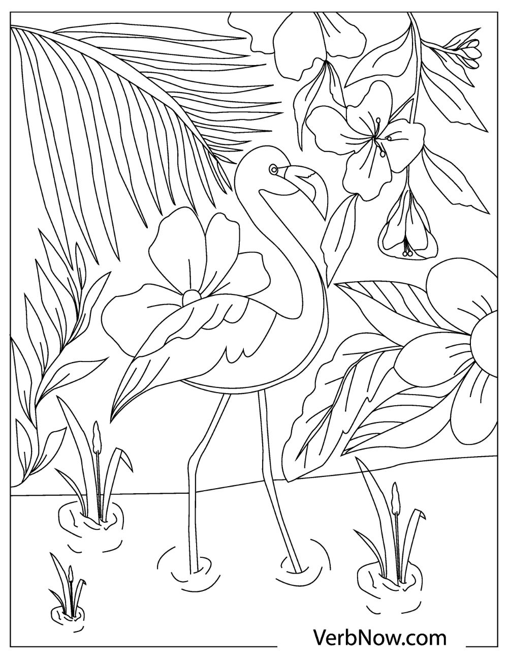 55 Flamingo Printable Coloring Pages 44