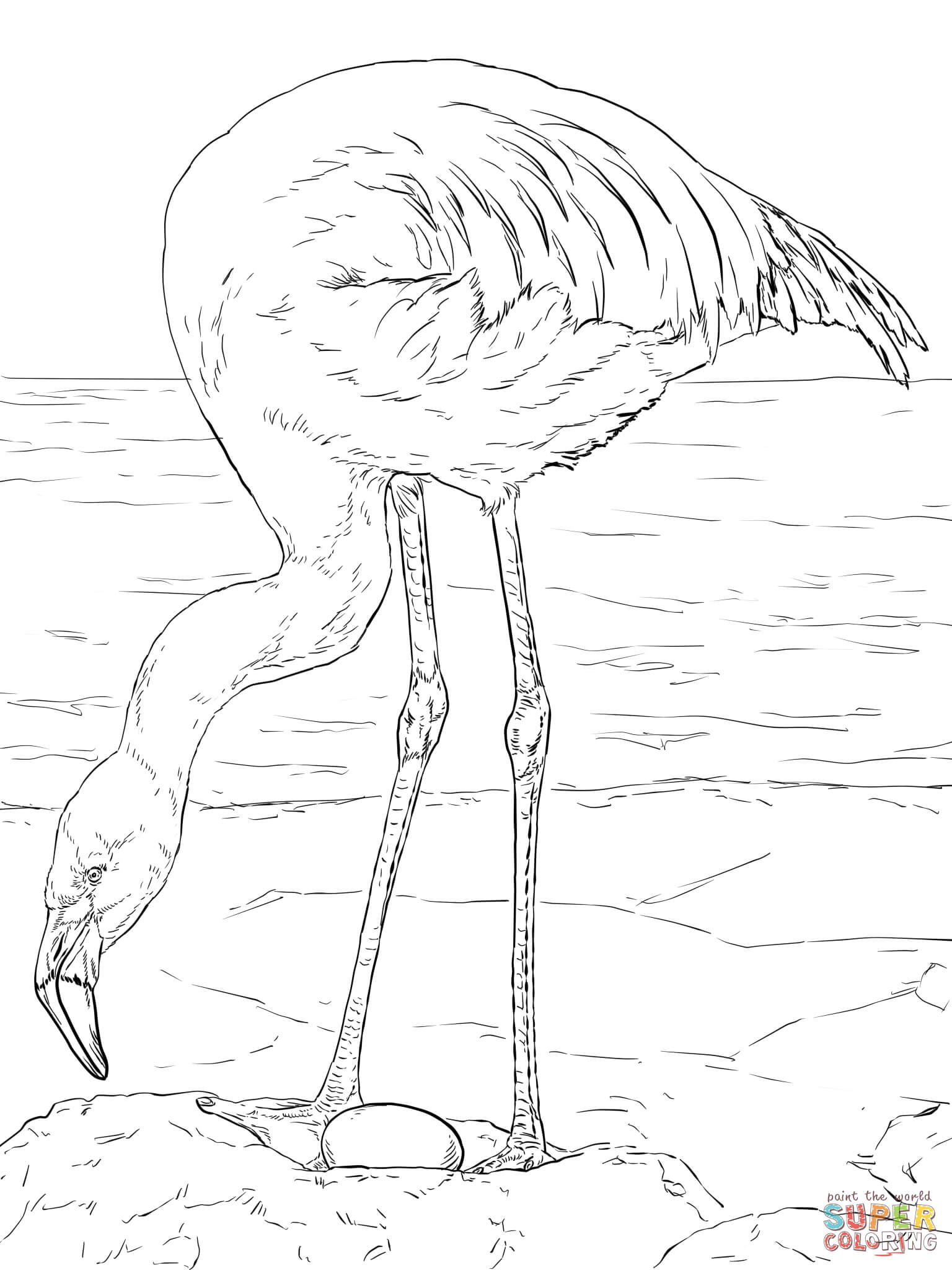 55 Flamingo Printable Coloring Pages 45