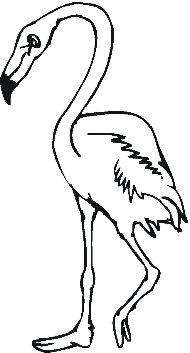 55 Flamingo Printable Coloring Pages 46