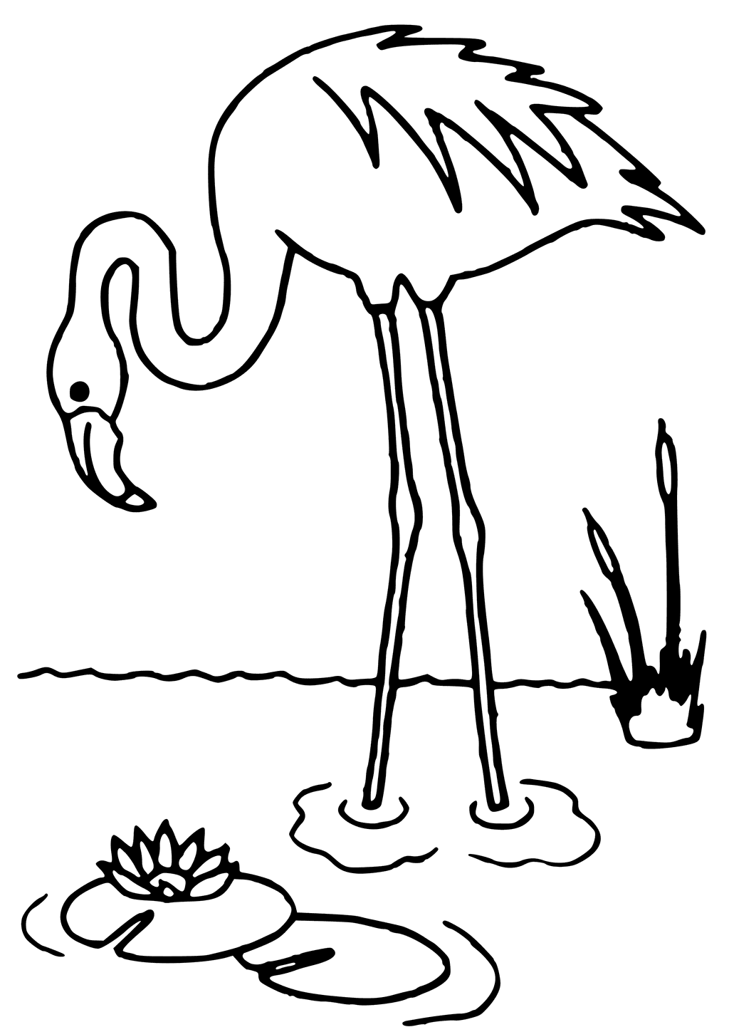 55 Flamingo Printable Coloring Pages 48